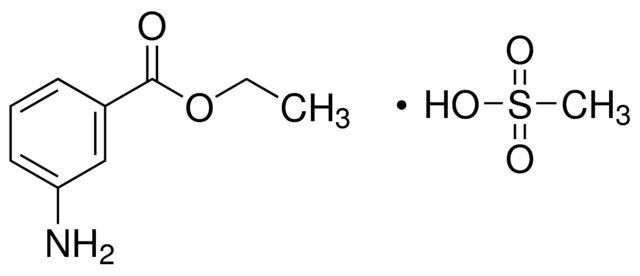 Ethyl 3-aminobenzoate methanesulfonate