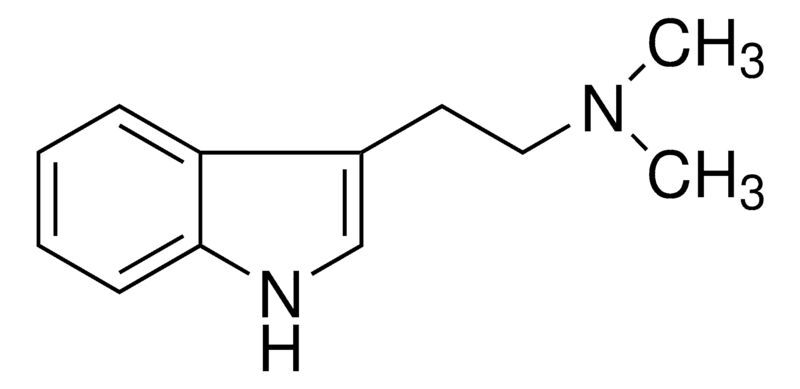 N,N-Dimethyltryptamine (DMT) solution
