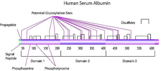 Albumin from human serum