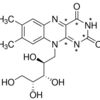 Riboflavin (B2)