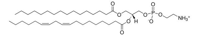 Phosphatidylethanolamine (Soy)