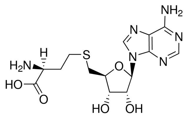 S-Adenosyl-L-homocysteine