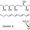 Nystatin Ready made solution