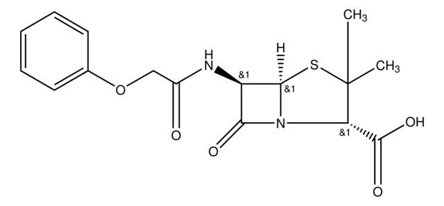 Penicillin V