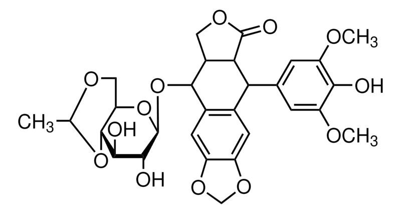 Etoposide