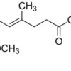 Mycophenolate Mofetil