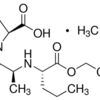 Perindopril erbumine