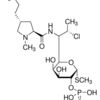 Clindamycin 2-phosphate