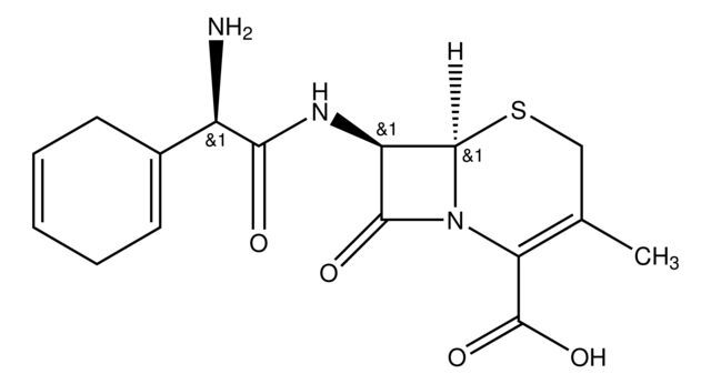 Cephradine