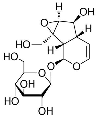 Catalpol