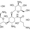 Amikacin disulfate salt