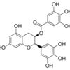 (−)-Epigallocatechin gallate