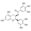 (−)-Epigallocatechin-3-O-gallate