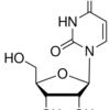 Uridine