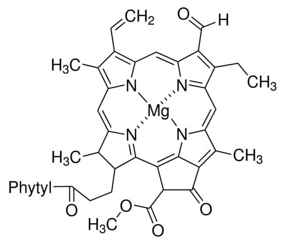 Chlorophyll b from spinach