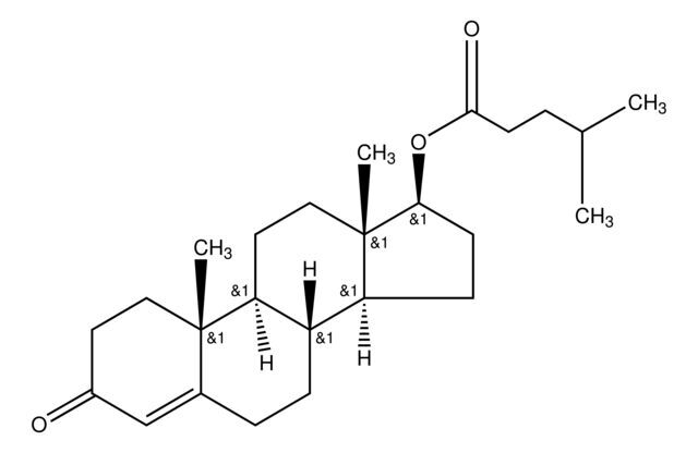 Testosterone isocaproate