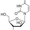 Uracil Arabinoside