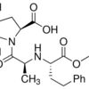 Trandolapril