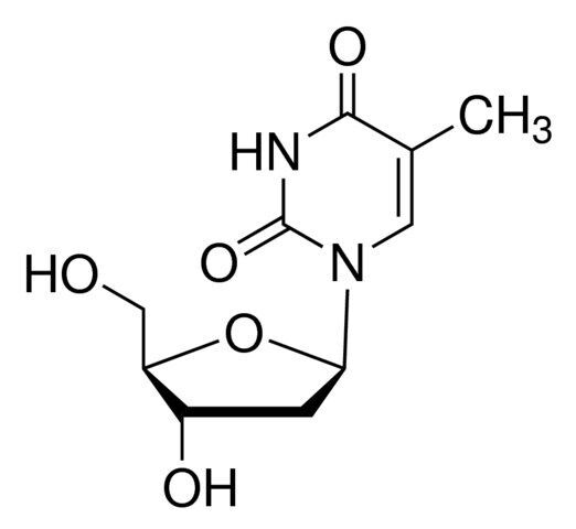 Thymidine
