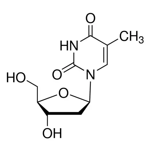 Thymidine
