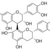 Procyanidin B2