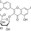Quercetin 3-glucuronide