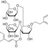 Echinacoside