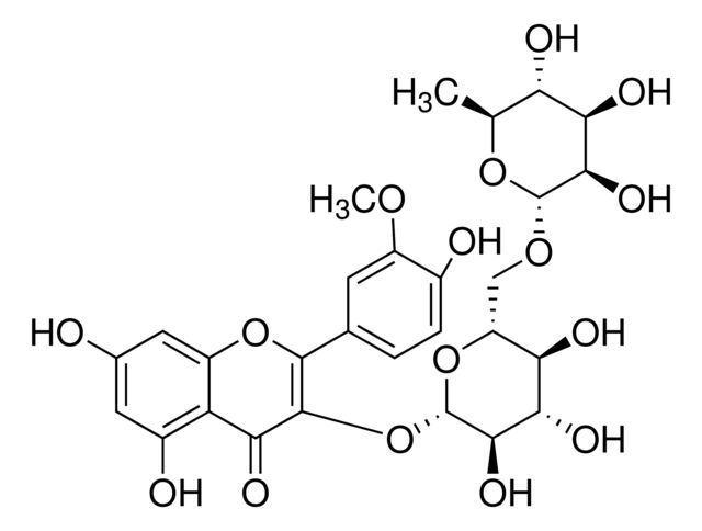Isorhamnetin 3-rutinoside