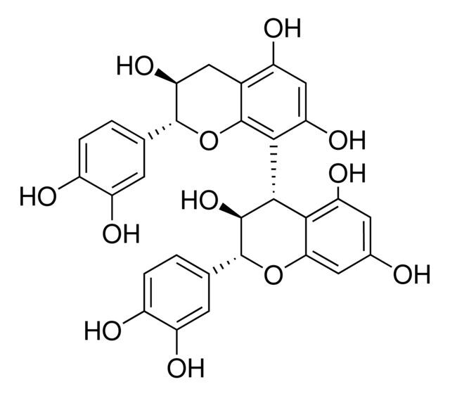 Procyanidin B3