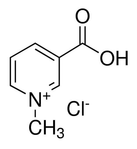 Trigonelline chloride
