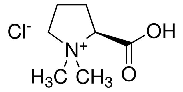 Stachydrine chloride