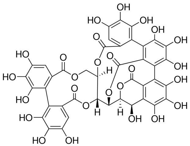 Vescalagin