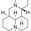 Oxymatrine