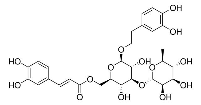 Isoacteoside