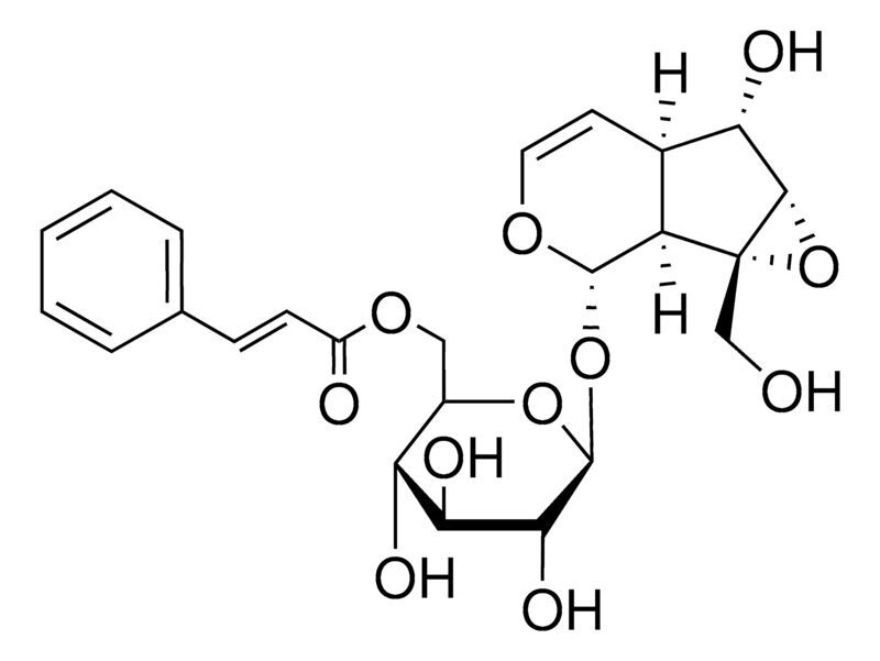 Picroside I