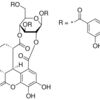Chebulinic acid
