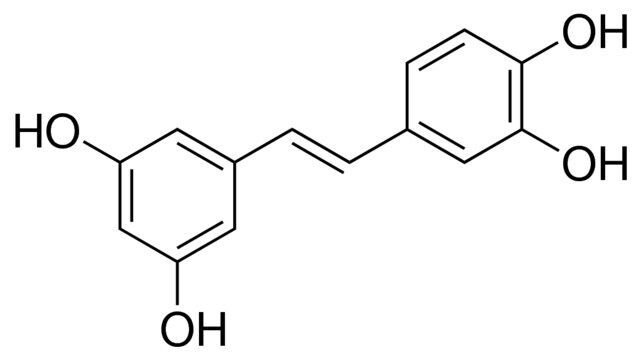 trans-Piceatannol