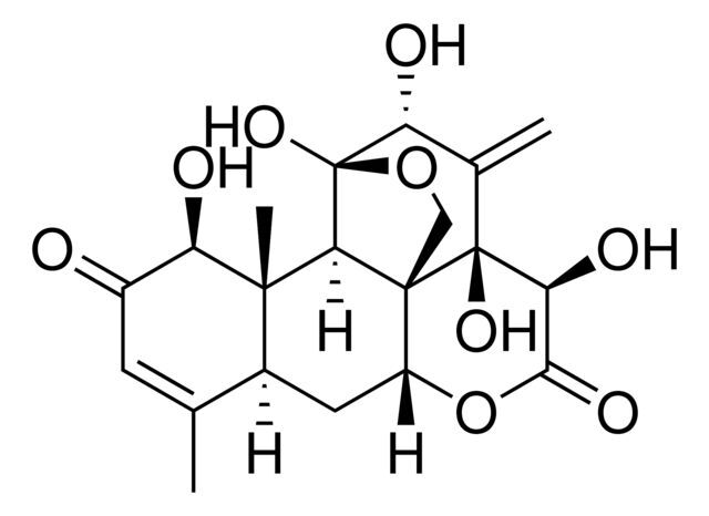Eurycomanone