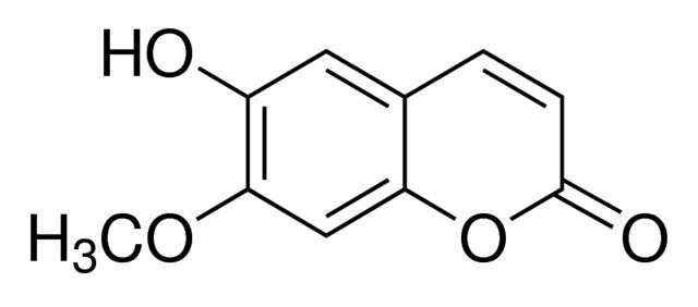 Isoscopoletin