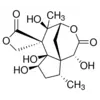 Anisatin