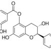 (+)-Catechin 5-gallate