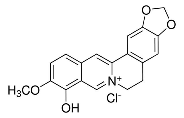 Berberrubine chloride