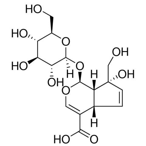 Monotropein