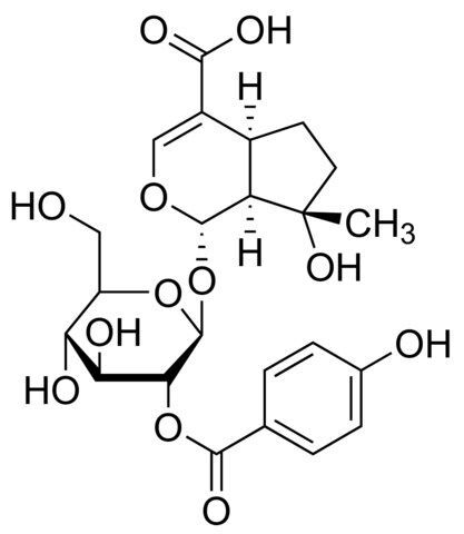 Negundoside