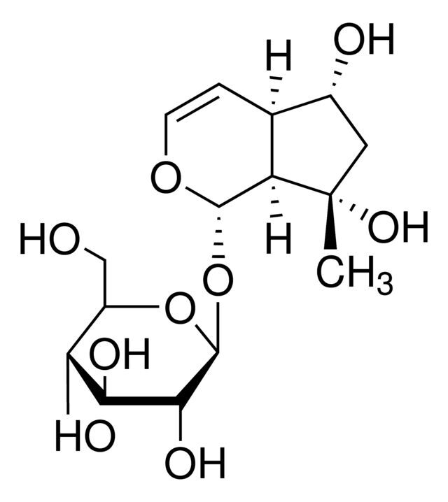 Ajugol
