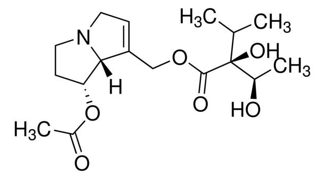 7-Acetylintermedine