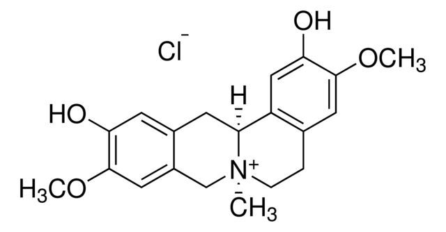 Phellodendrine chloride