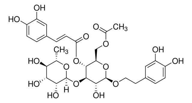 6-Acetylacteoside