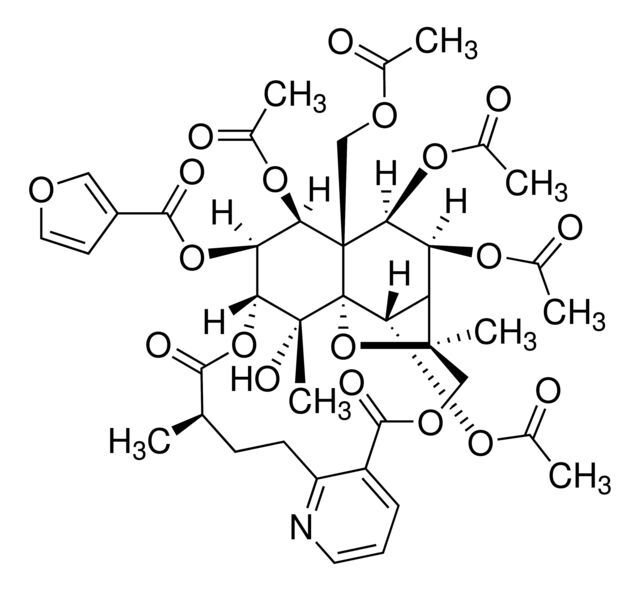 Wilforgine