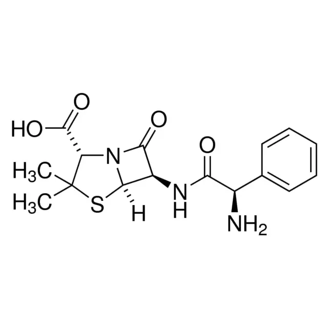 Ampicillin